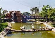 Selva Tropicale