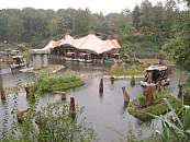 Wakobato